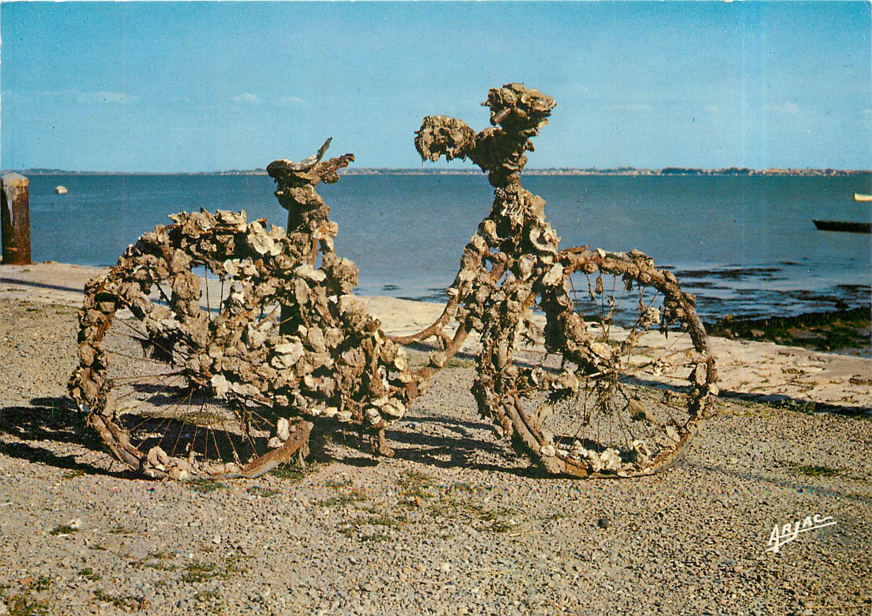 CPM Dans l'ile d'Oleron Le Chateau Sur le port Station Ostreophile Velo Cycle