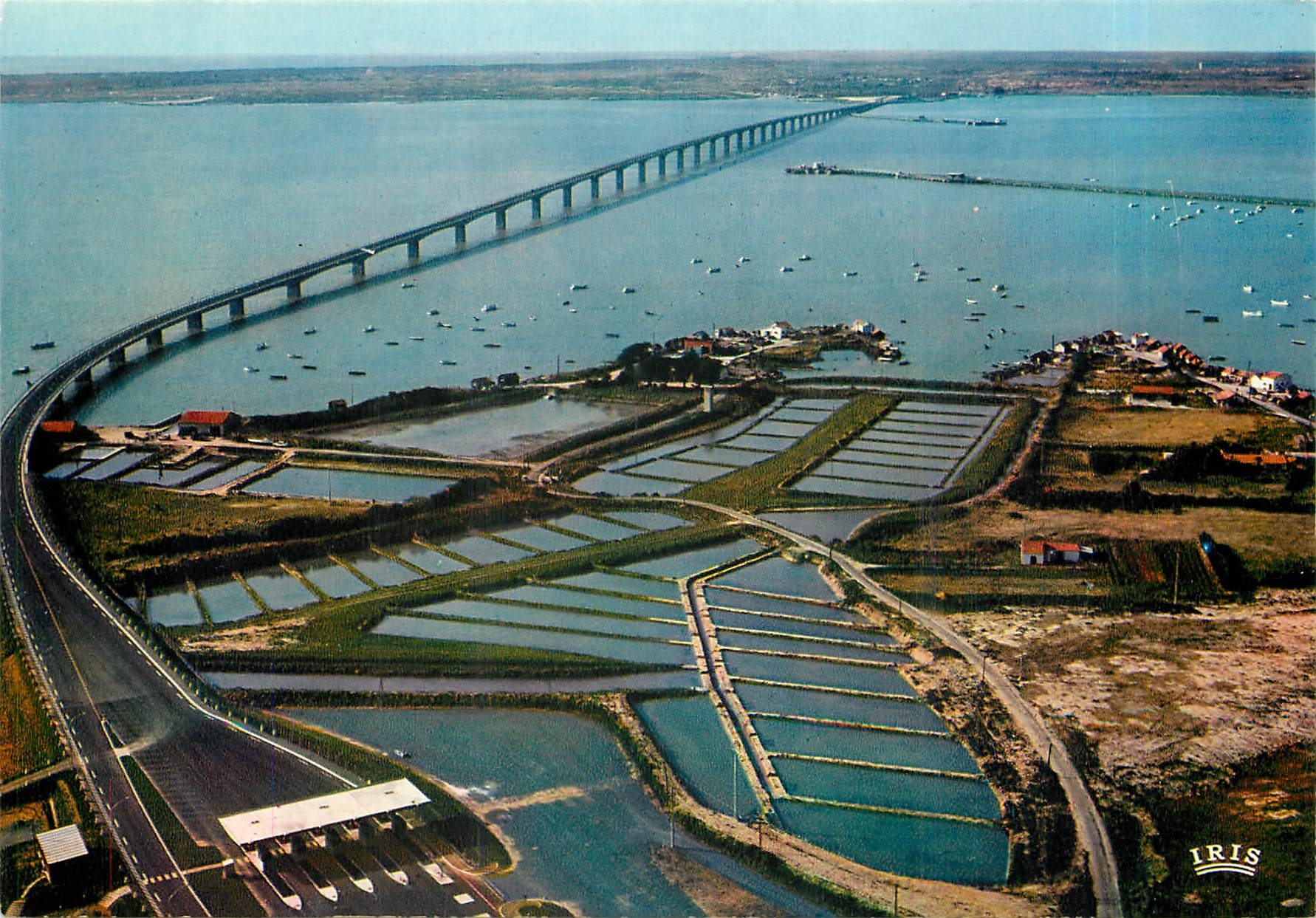 CPM Ile d'Oleron Viaduc de liaison Oleron Continent 