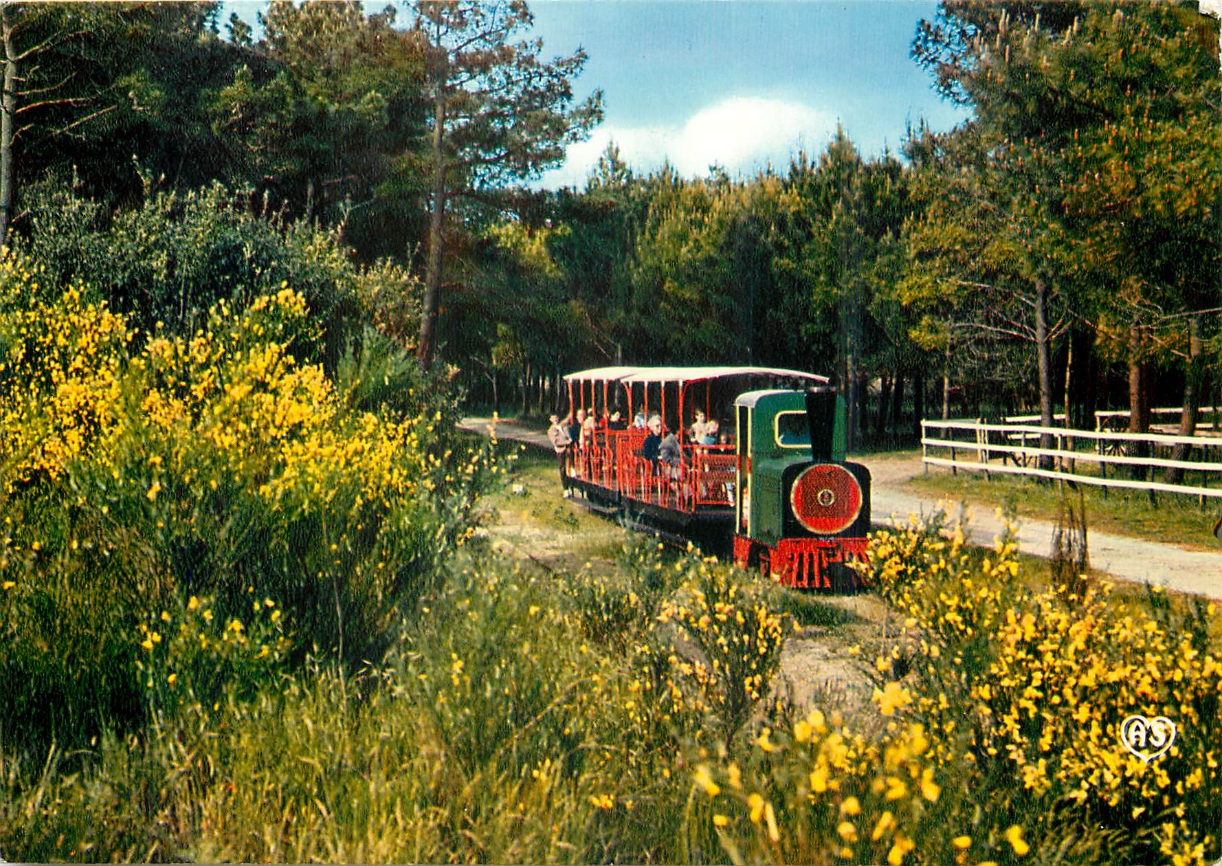 CPM Ile d'Oleron Charente Maritime Petit train touristique de Saint Trojan 