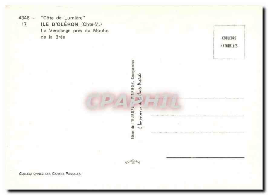 CPM Ile d'Oleron Chte M La Vendange pres du Moulin de la Bree  — Rückseite