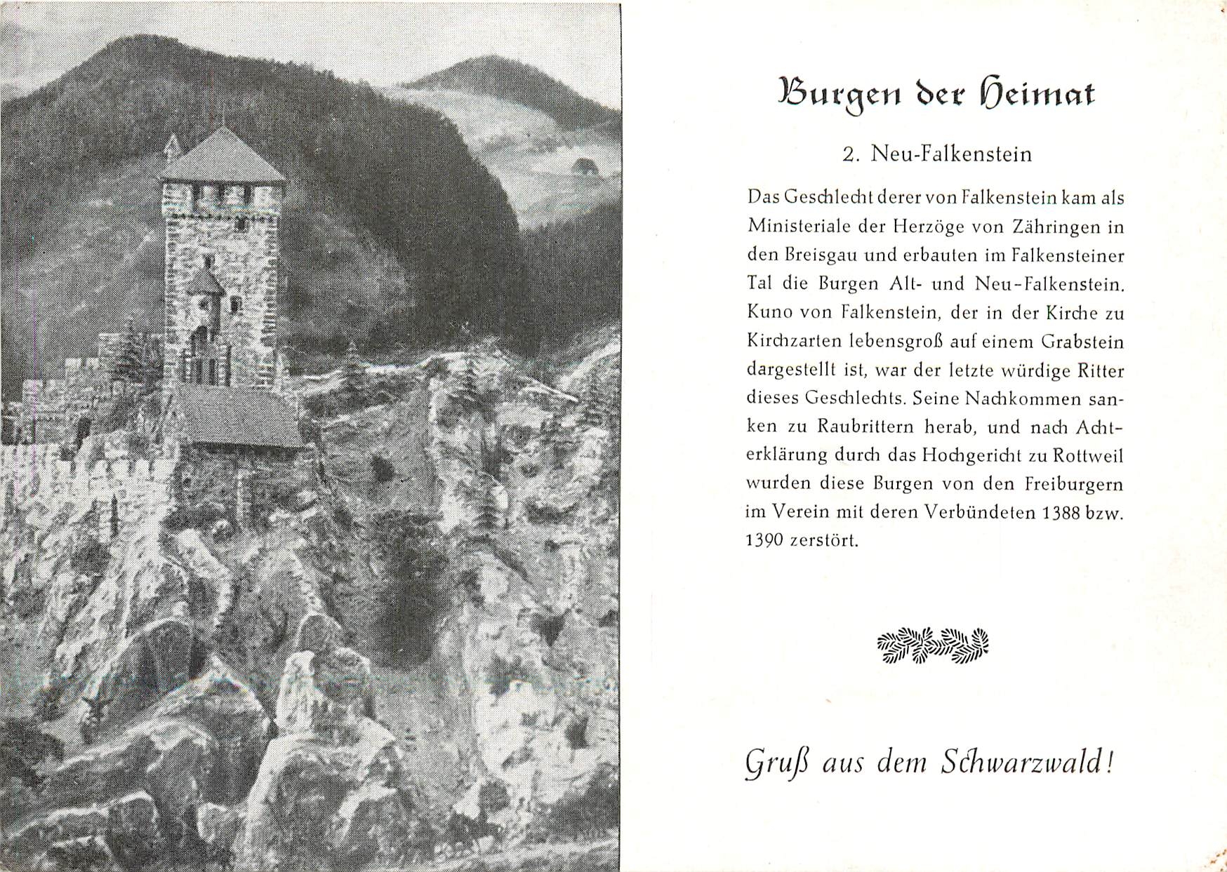 CPM Burgen der heimat Neu Falkenstein Gruss aus dem Schwarzwald 