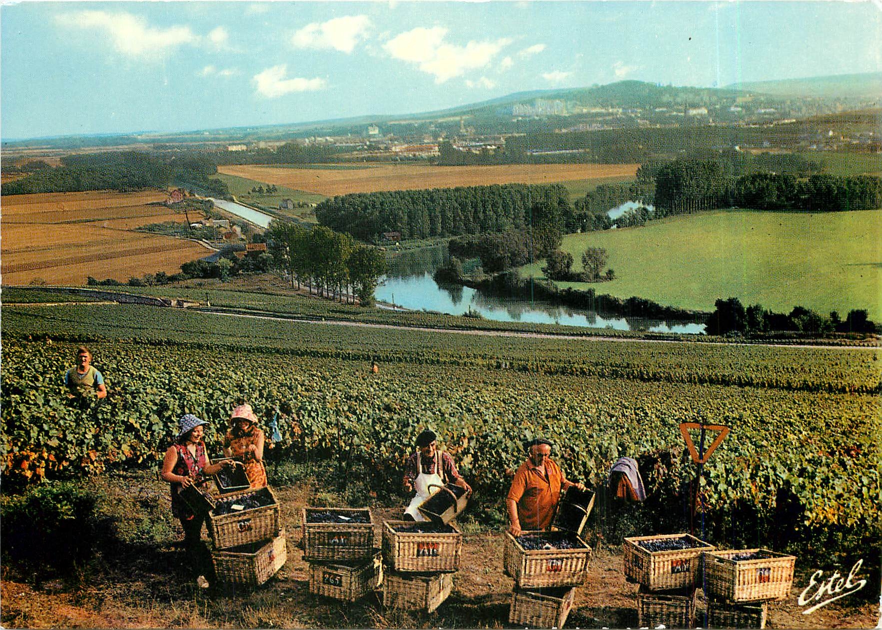 Vendanges en Champagne — Au-dessus des méandres de la Marne, au fond, Epernay — Éditeur Estel