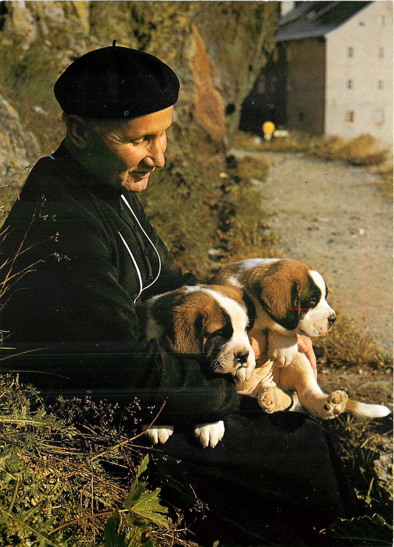 CPM Chanoine du Grand Saint Bernard avec ses preferes 