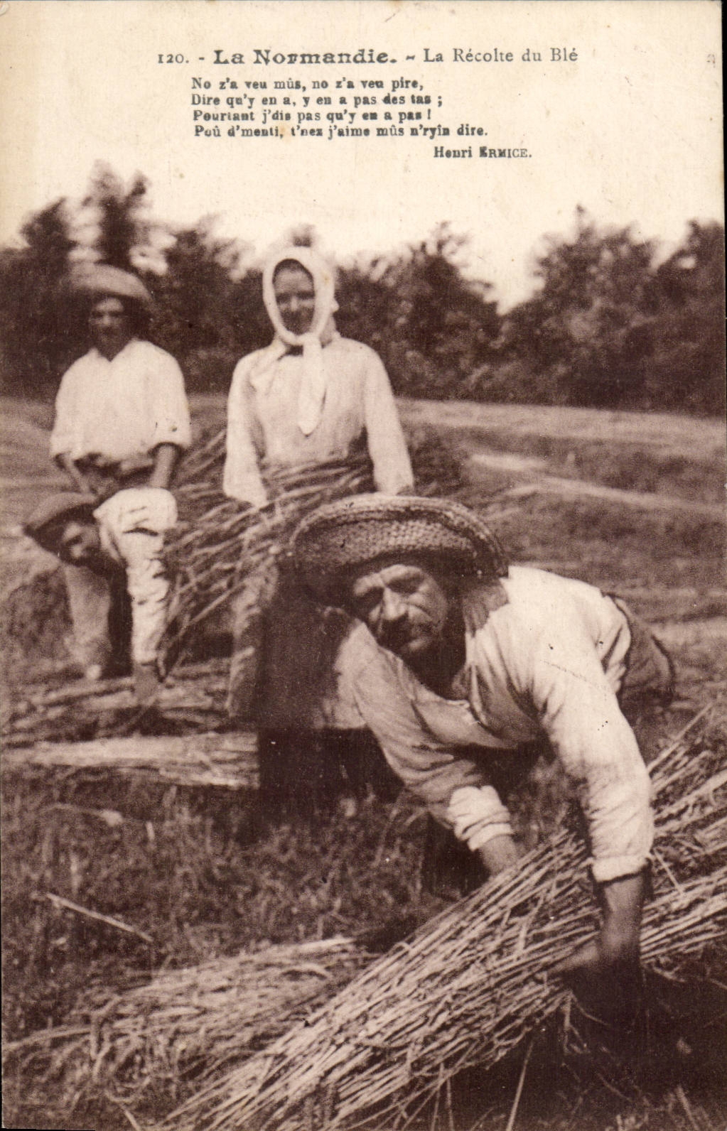 La Normandie CPA La recolte de Ble TOP (metiers agriculture)