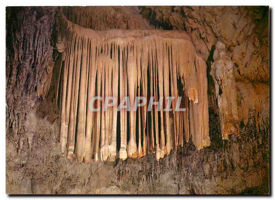 CPM Grotte des Demoiselles Le Manteau Royal