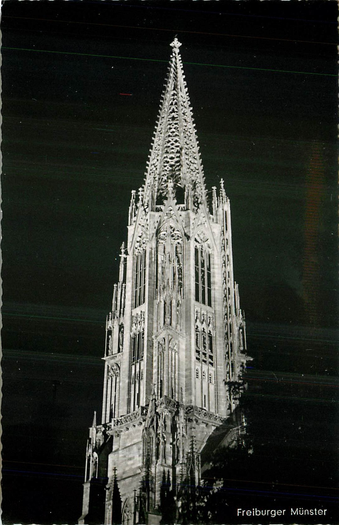 CPM Freiburg / Schwarzwald das 115m hohe Muenster in Festbefeuchtung
