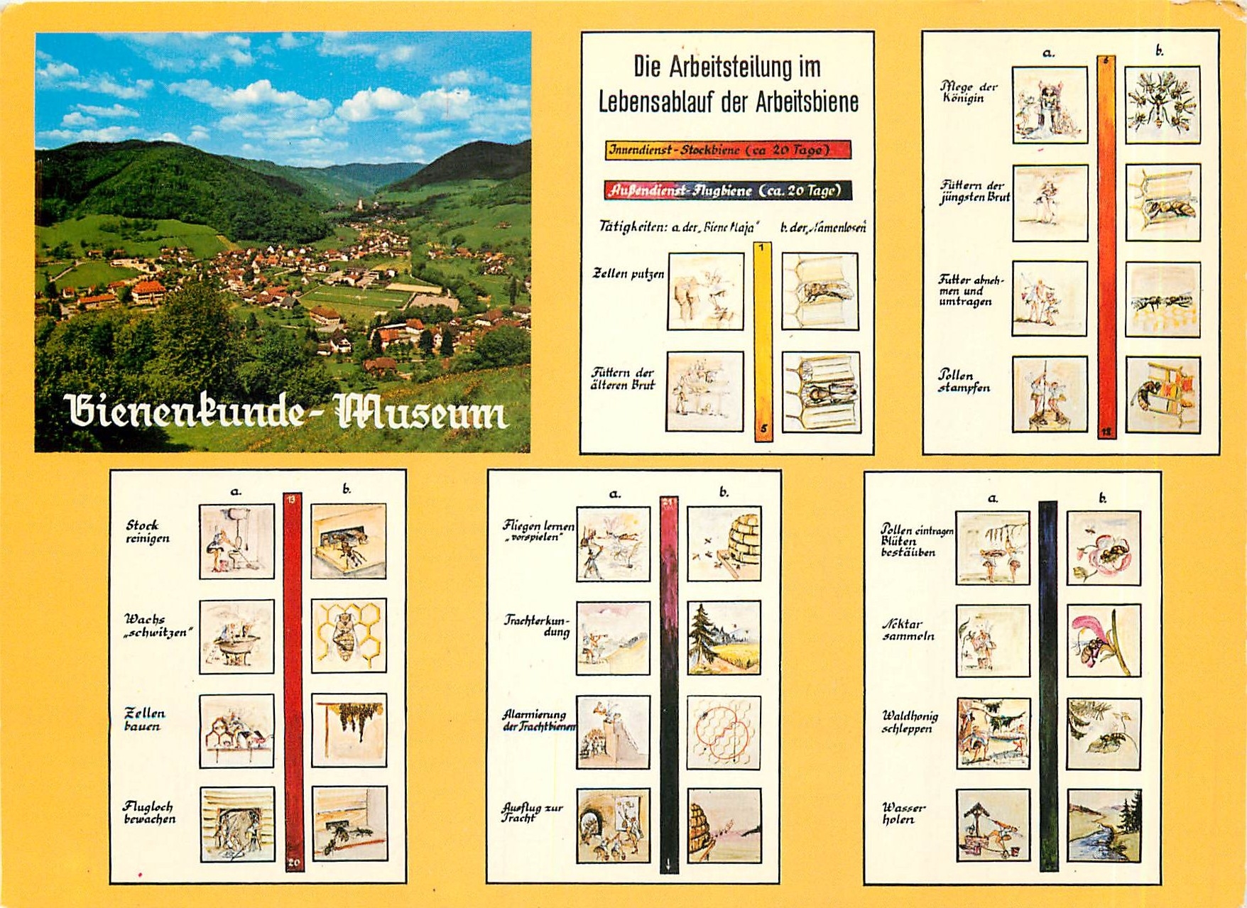 CPM Bienenkunde-Museum und Imker-Lehrschau