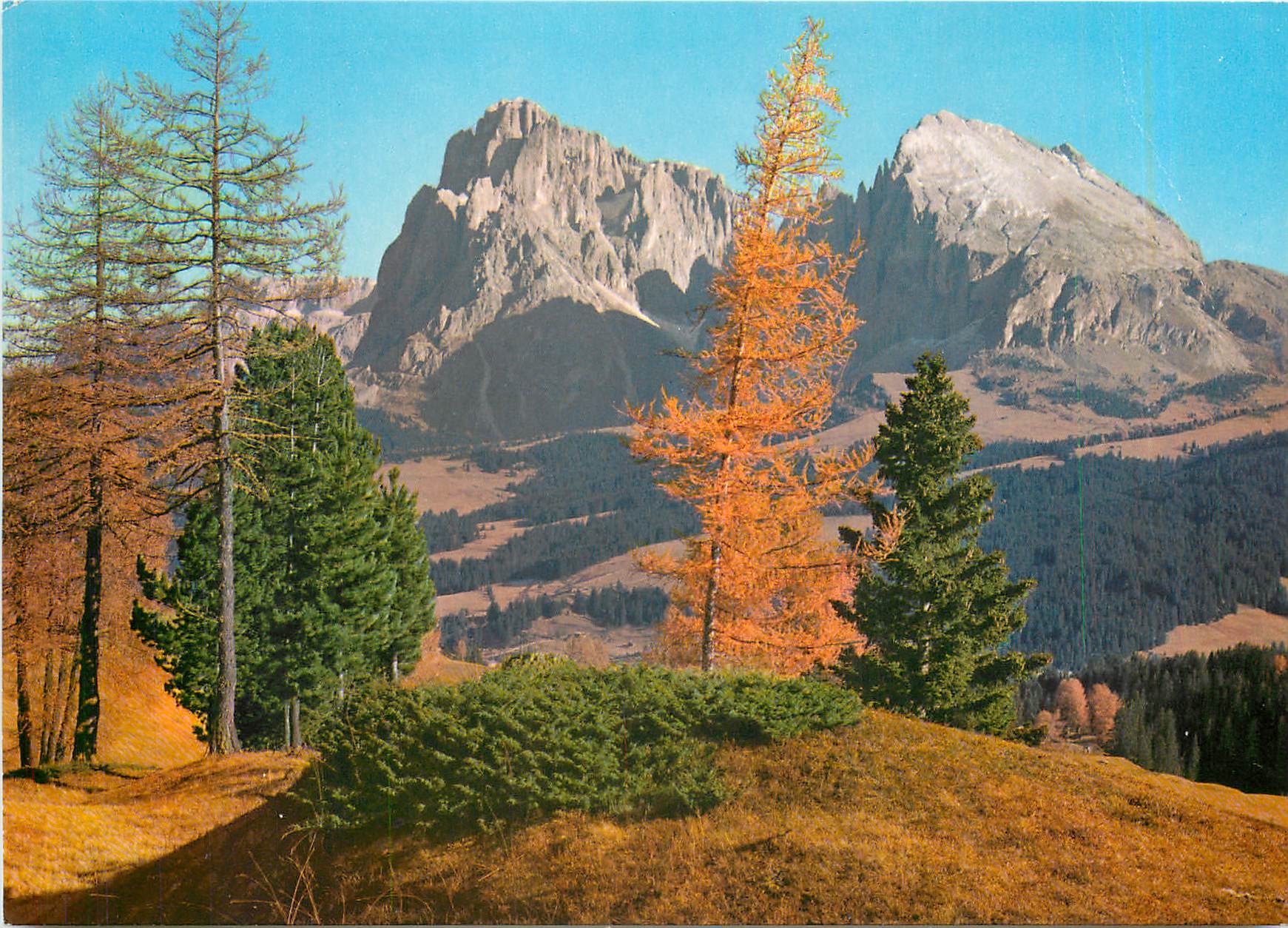 CPM Dolomiten Seiser Alm mit Langkofel im Herbst