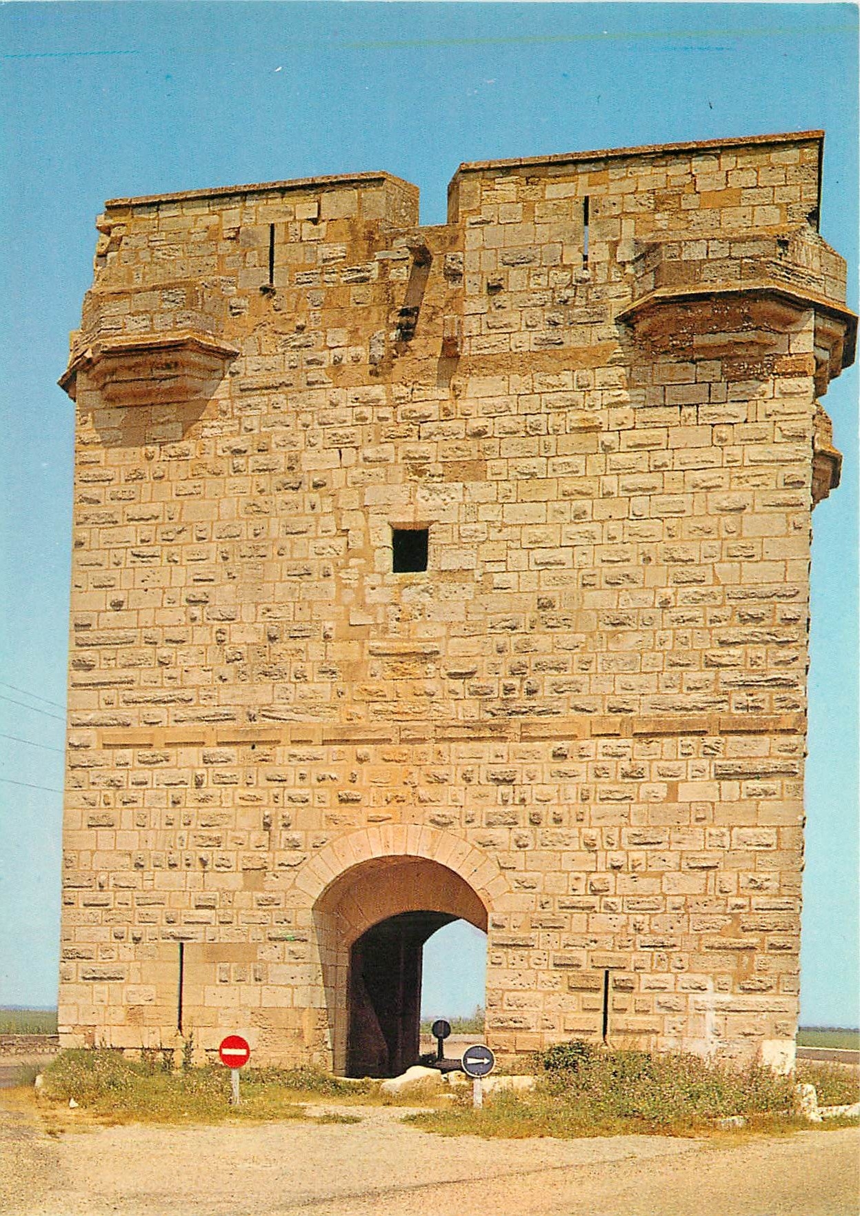 CPM Aigues Mortes (Gard) ''La Ville du Roi Saint Louis'' La Tour Carbonniere