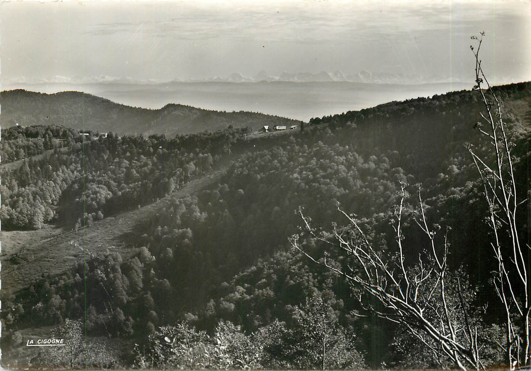 CPM Ballon D'Alsace (Alt. 1256m) La Chaine des Alpes vue du Ballon d'Alsace
