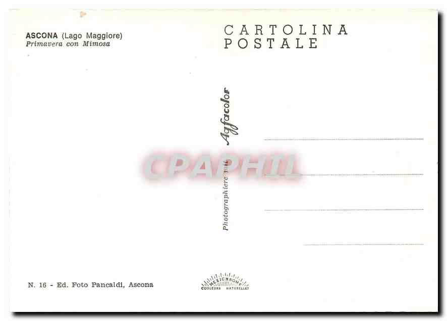 CPM Ascone (Lago Maggiore) Primavera con Mimosa — Verso