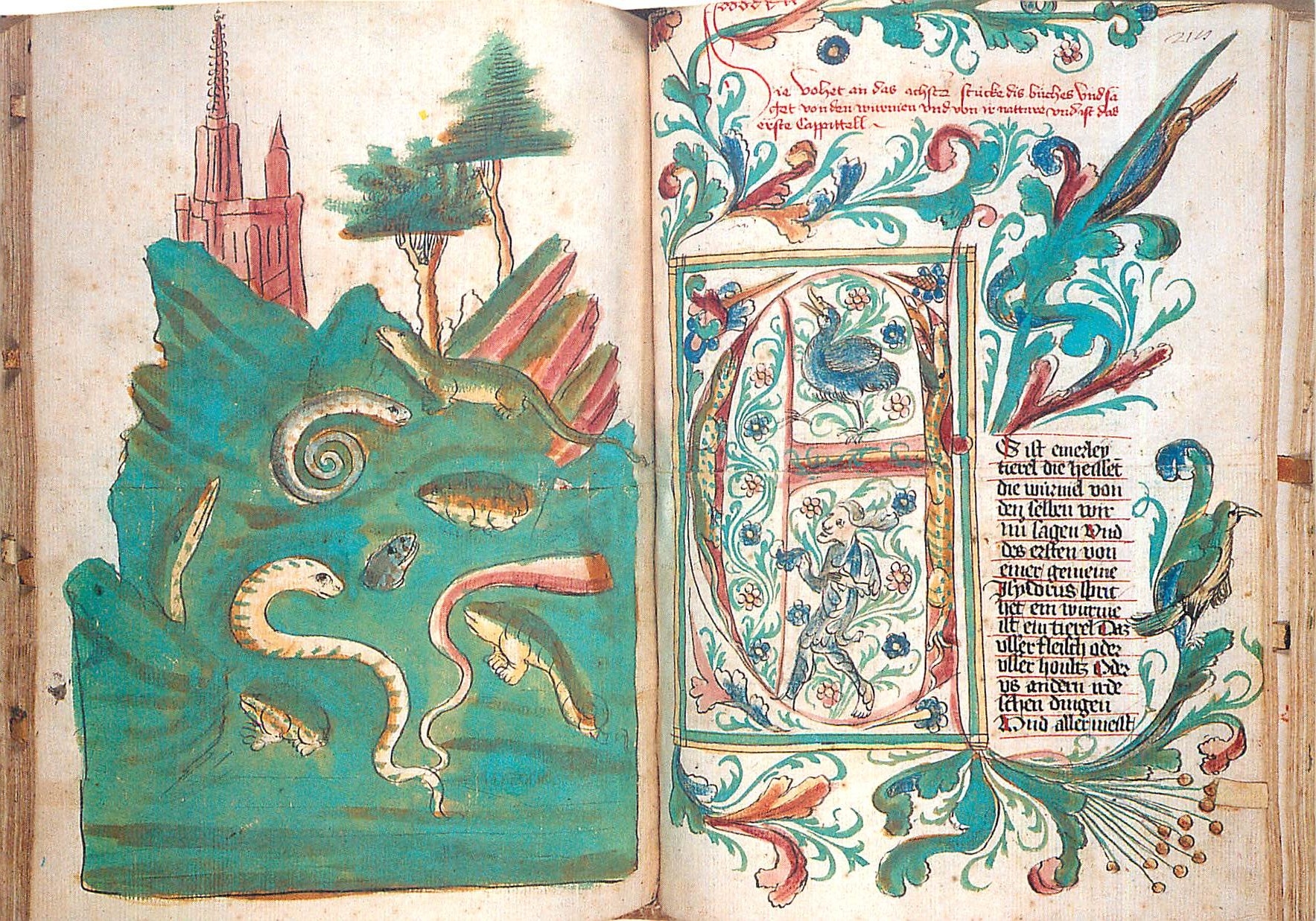 CPM Livre de la Nature de Konrad von Megenberg enlumine a Haguenau vers 1450