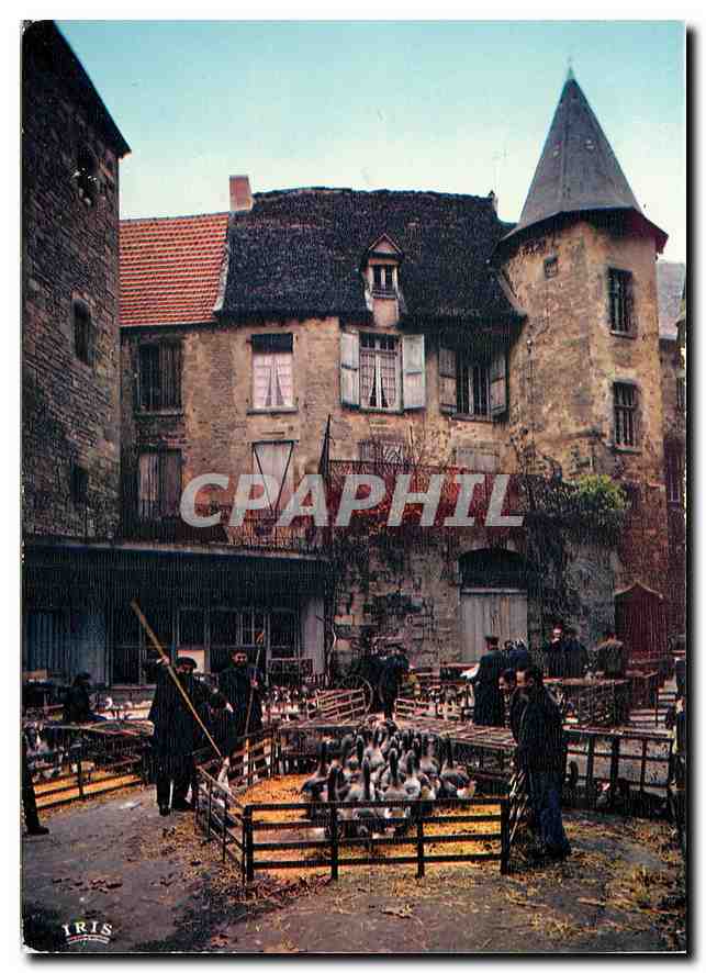 CPM Le Perigord Pittoresque Le marche aux oles