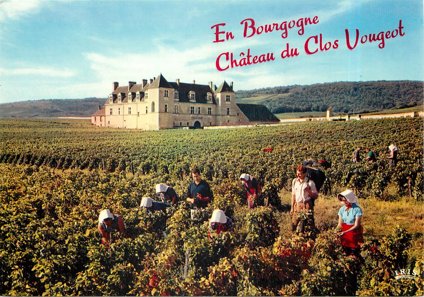 CPM En Bourgogne Chateau du Clos Vougeot