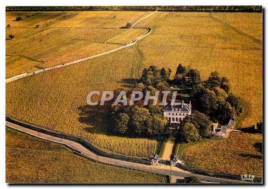 CPM La Prestigieuse Bourgogne Le Chateau de Pommard et son Clos de 21 hectares fonde en 1726