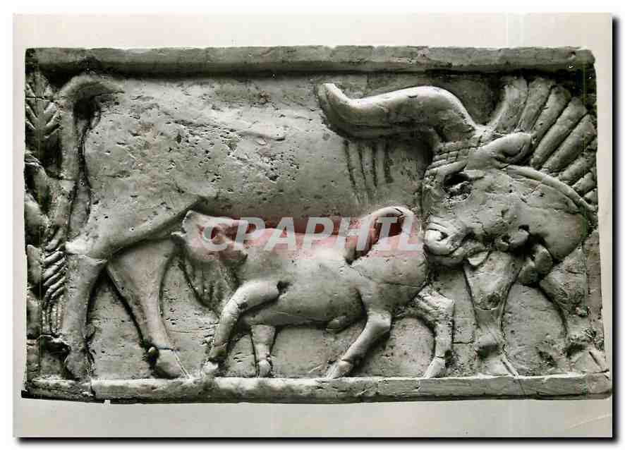 CPM Karlsruhe Badisches Landesmuseum Kuh und Kalb
