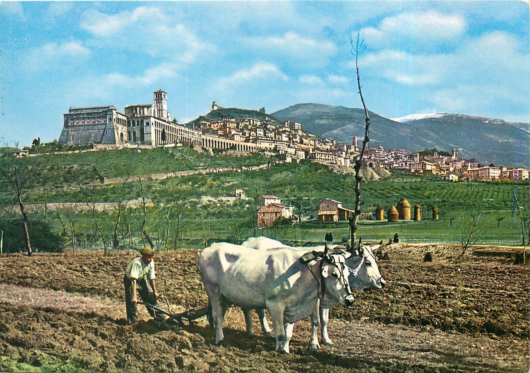 CPM Assisi Panorama