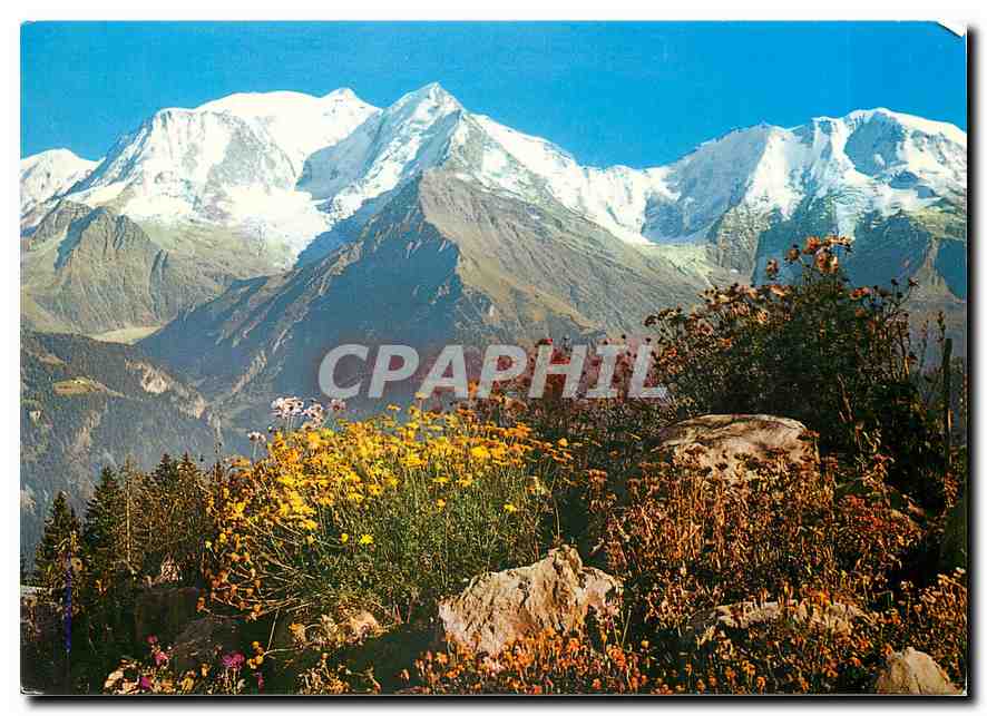 CPM Printemps en montagne au pied du Mont-Blanc