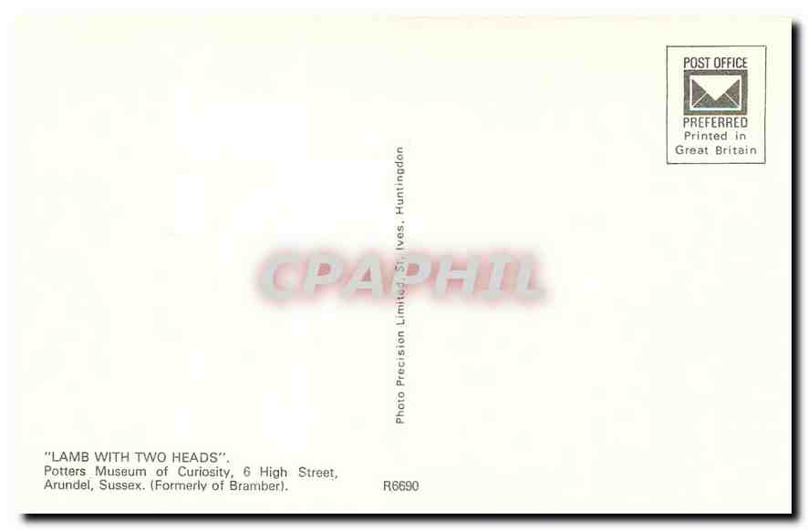 CPM ''Lamb with two heads'' Potters Museum of Curiosity — Verso