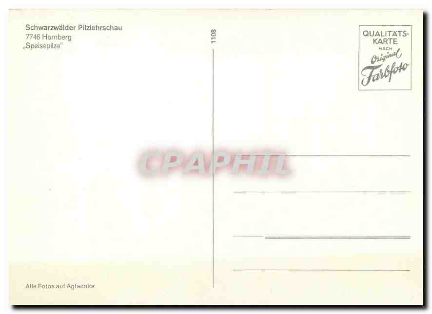 CPM Schwarzwaelder Pilzlehrschau Champignons — Verso