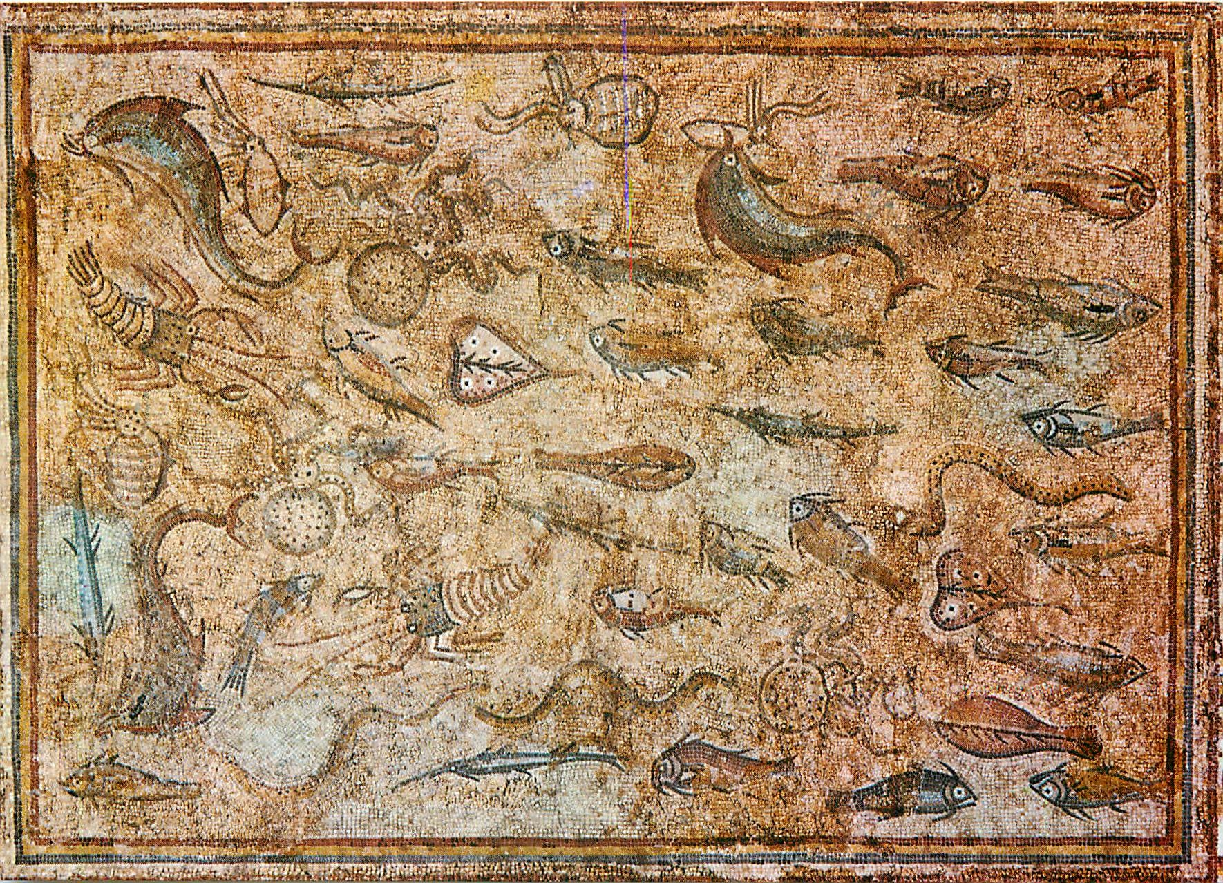 CPM Tarragona Museo Arqueologico Mosaique avec Poissons