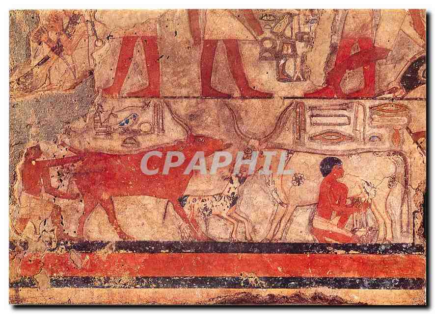 CPM Paris - Musee du Louvre Detail des peintures de la tombe du Metchetichi Vers 2350-2300 av. J.C.