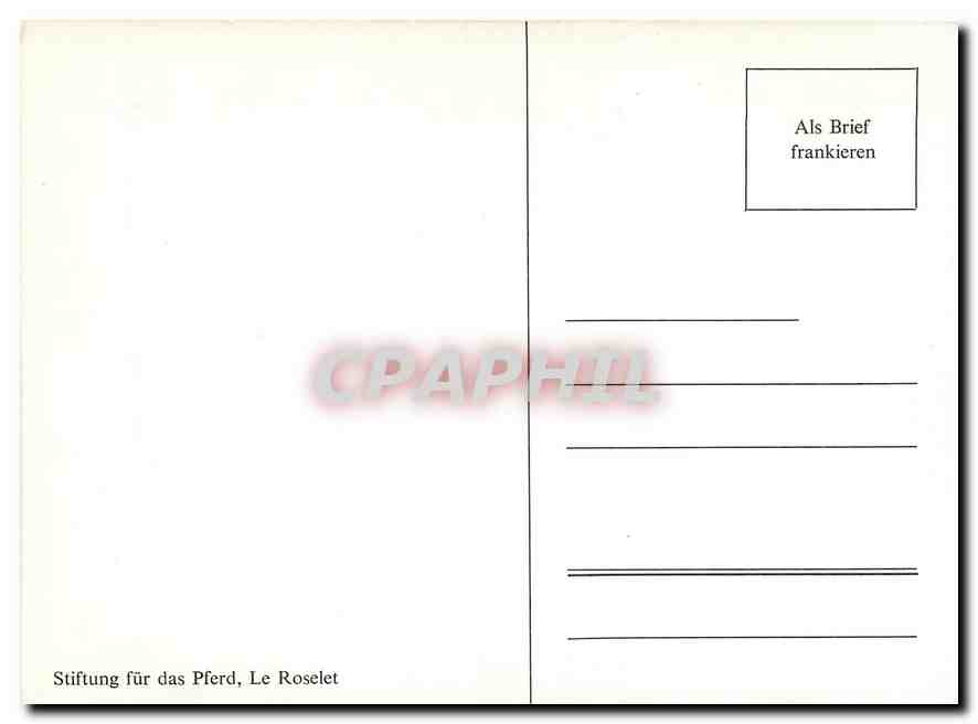 CPM Stiftung fuer das Pferd Le Roselet — Back
