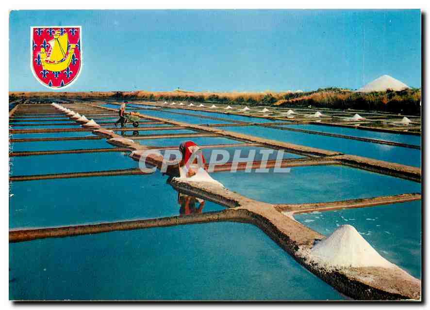Marais Salants — Île de Ré — Éditions ARUM - Cornac - Recto