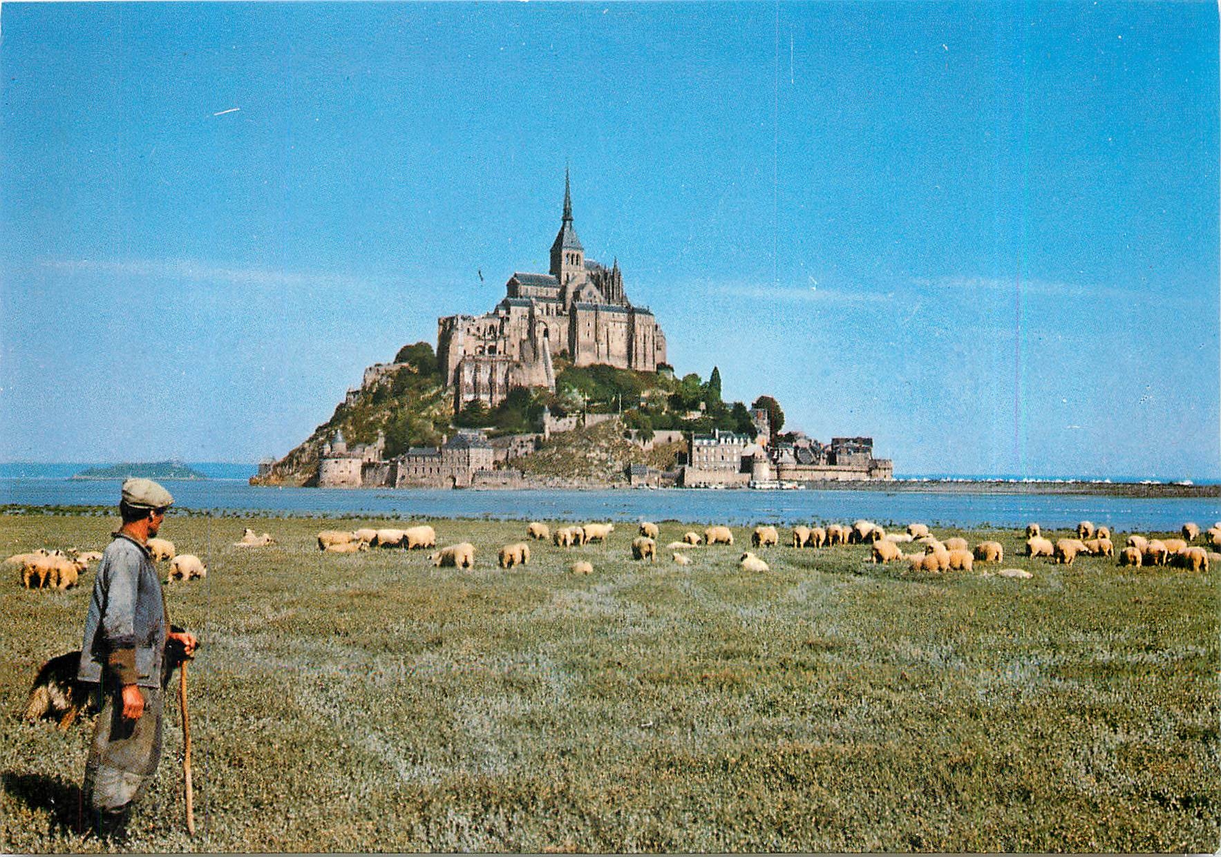 Mont-Saint-Michel — Les moutons de pré salé — Couleurs Naturelles n°1