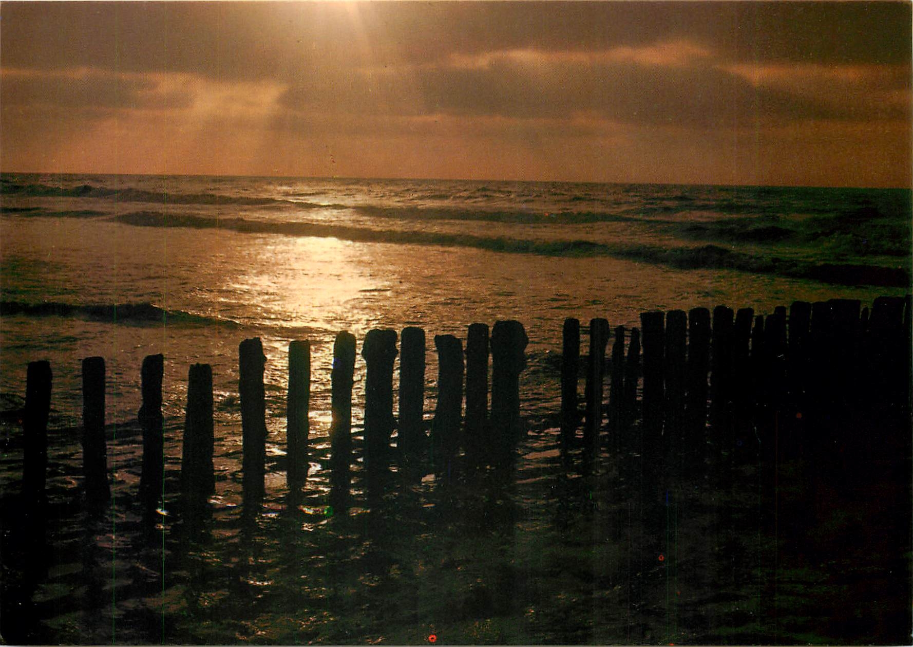 CPM Gruesse aus Albert Plage - Knokke - Zoute