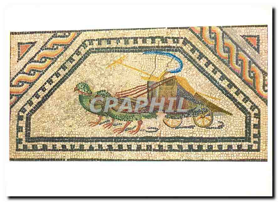 CPM Roemisch-Germanisches Museum Koeln Dionysos-Mosaik beim Dom (um 160 n. Chr.)