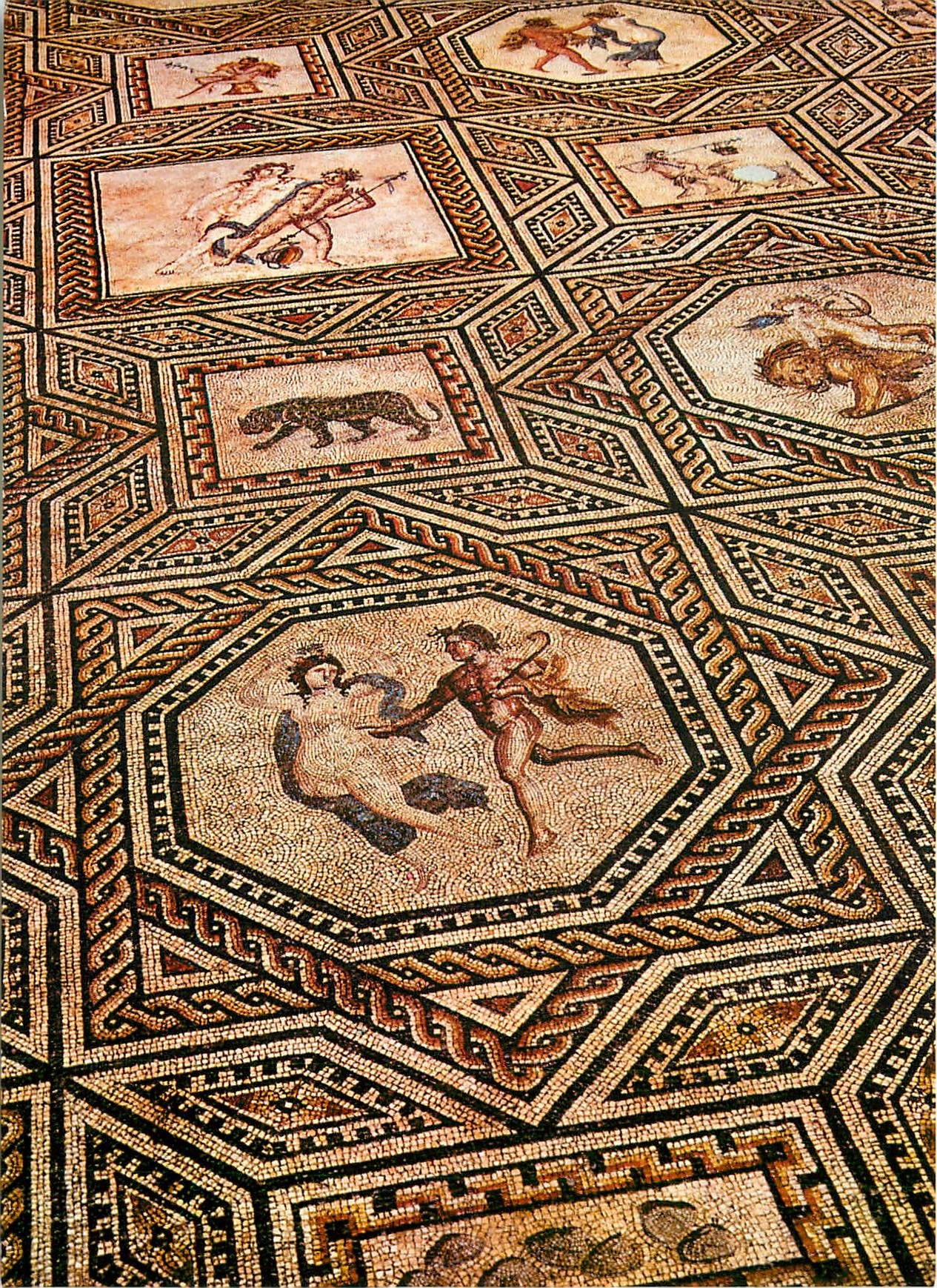 CPM Koeln am Rhein Roemisch-Germanisches Museum Dionysos-Mosaik beim Dom