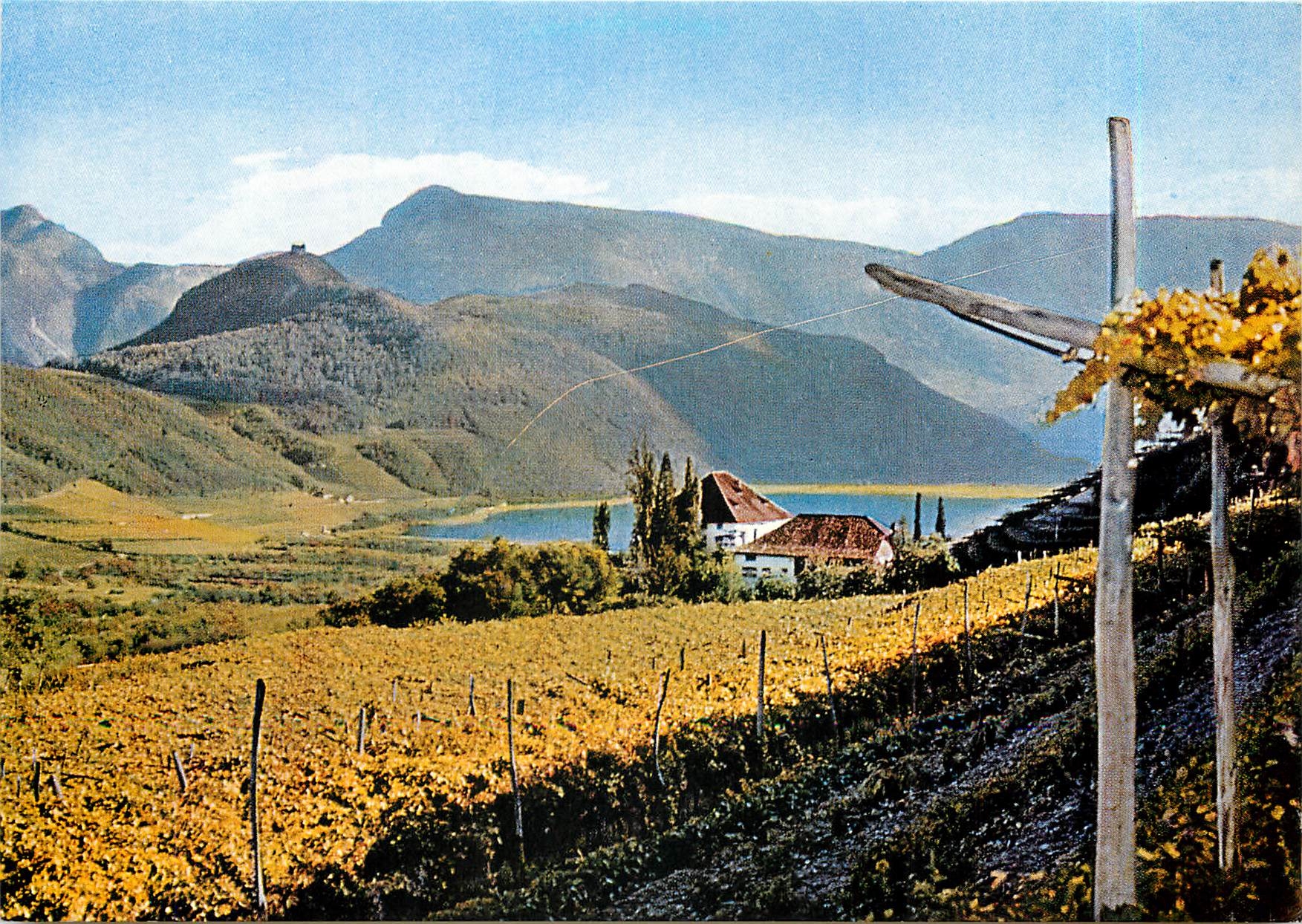 CPM Lago di Caldaro - Ruderi "Leuchtenburg" e Castello Ringberg (Museo del vino)