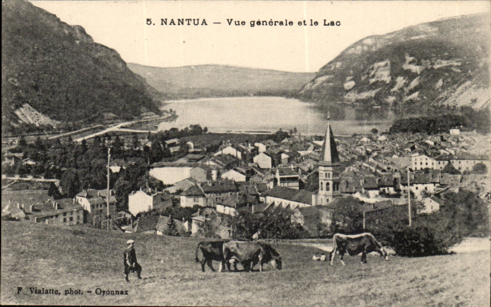 Environs de Nantua - Vue Generale et le Lac - CPA 