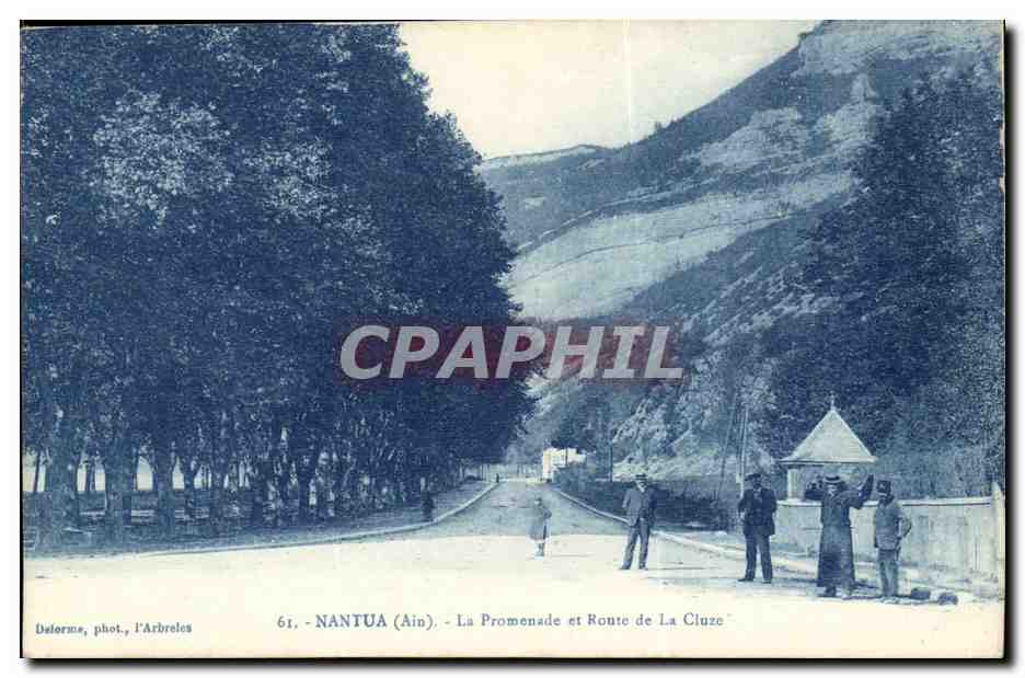 Environs de Nantua - Le Promenade et Route de la Cluze - CPA 