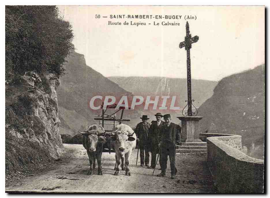 Saint Rambert - en - Bugey - Route de Lupieu - Le Calvaire - vaches - CPA 