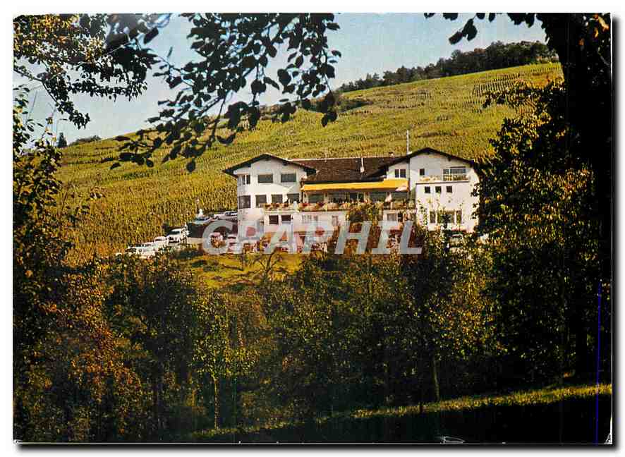 CPM Winzerstuben zum Bocksbeutel. Umweg bei Baden-Baden