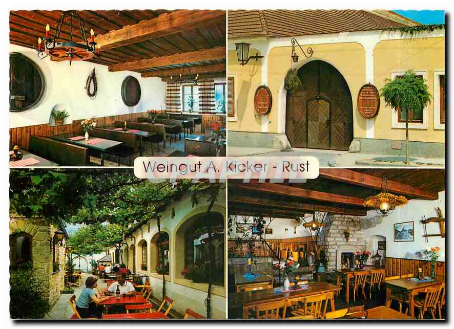 CPM Weingut A. Kicker - Rust