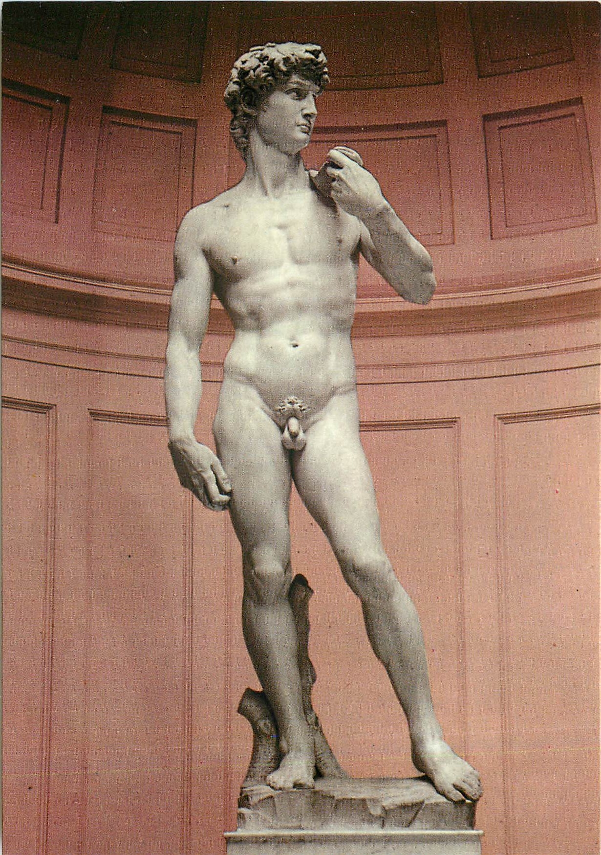 CPM Firenze The Academia Gallery - The David of Michelangelo