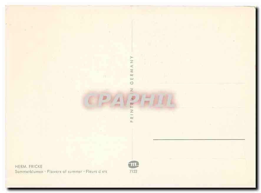 CPM Herm Fricke Flowers of Summer — Verso