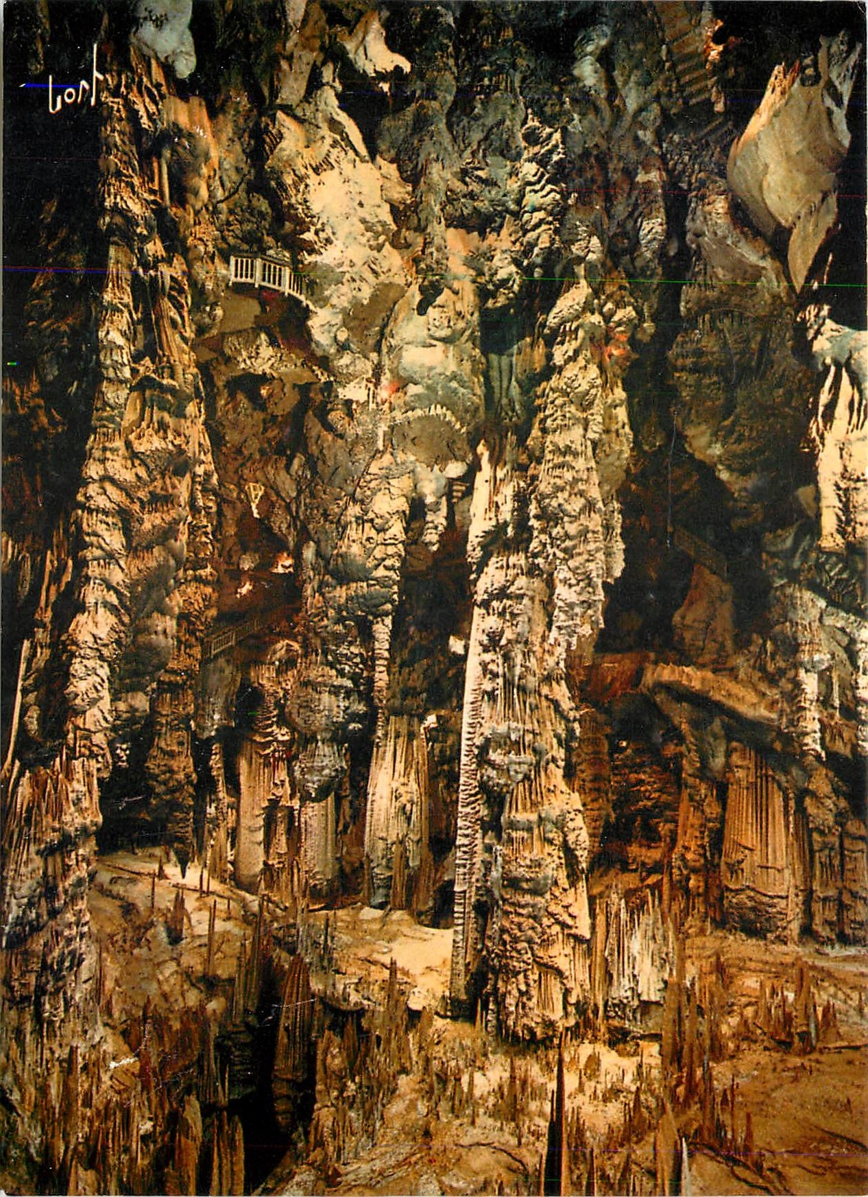 CPM Grotte de Demoiselles La Caverne Merveilleuse La Cathedrale