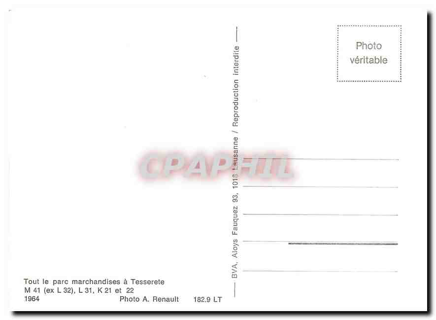 CPM Tout le parc marchandises a Tesserete M41 L31 K21 et 22 1964 — Verso
