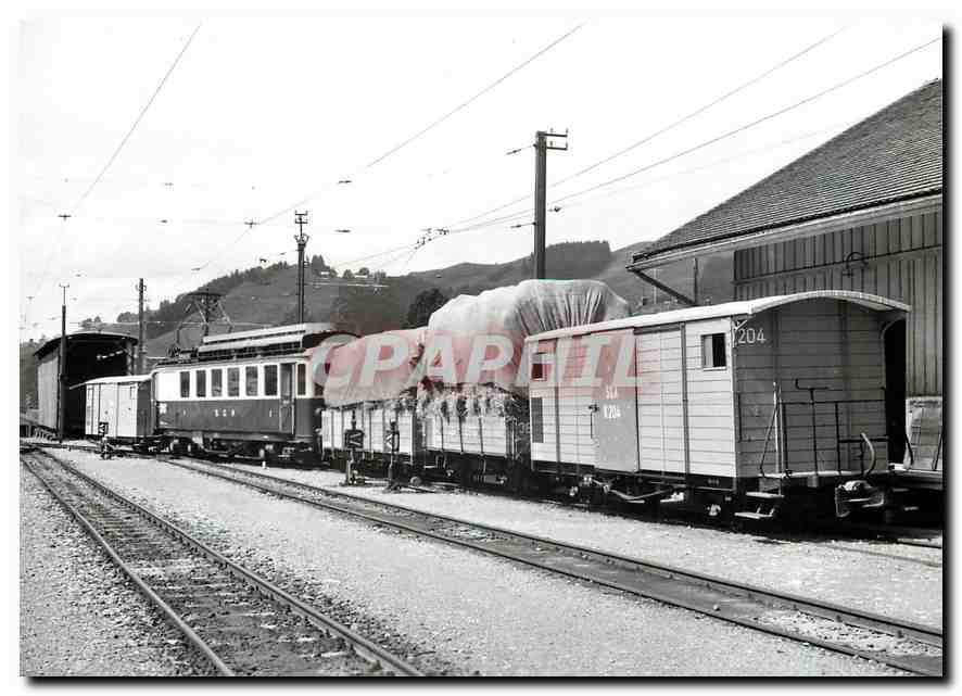 CPM Formation d'un train marchandises a Gais 14.8.1967
