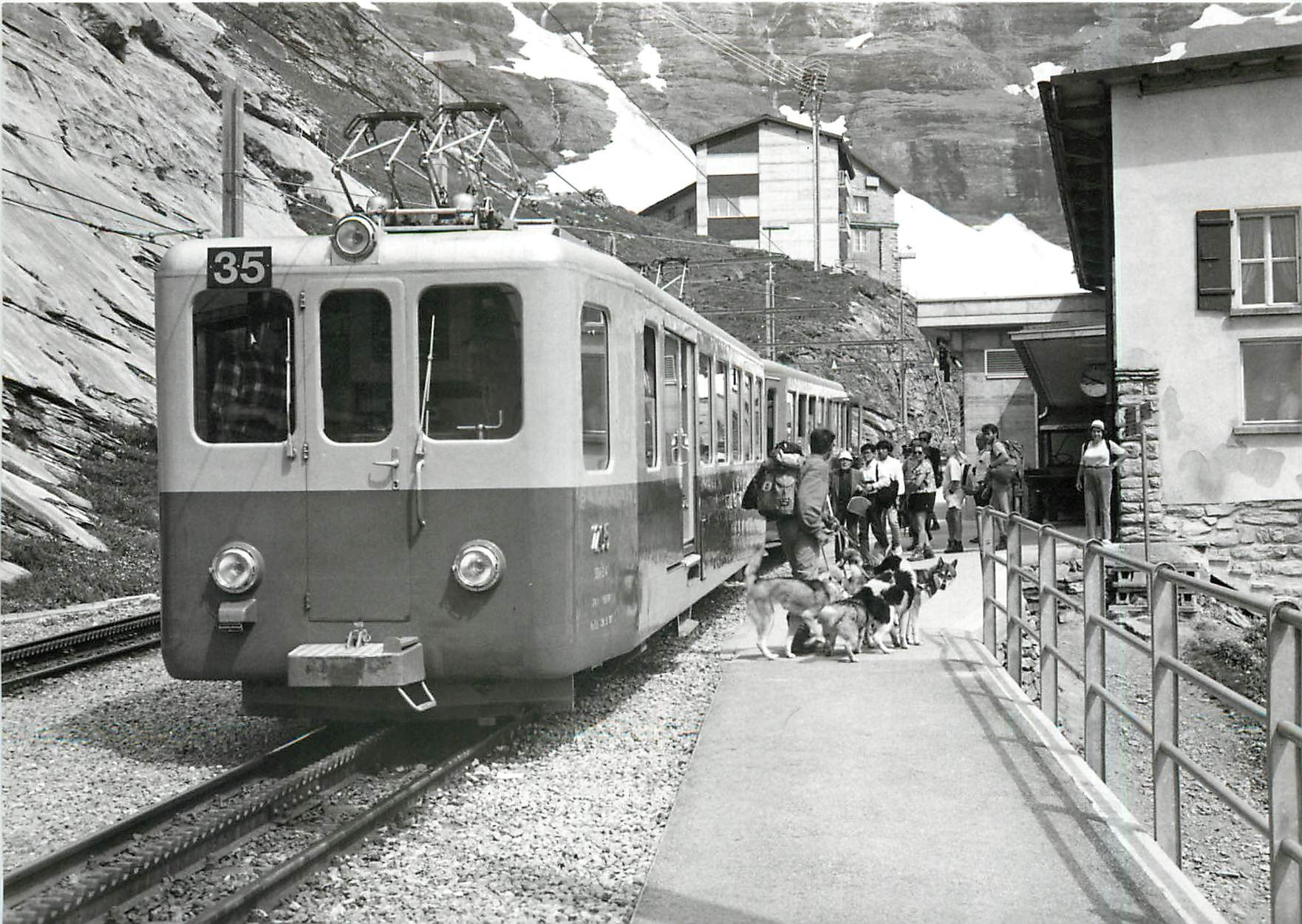 CPM Train pour Petite Scheidegg a Eigergletscher notex la meute de chiens polaires 15.7.1990