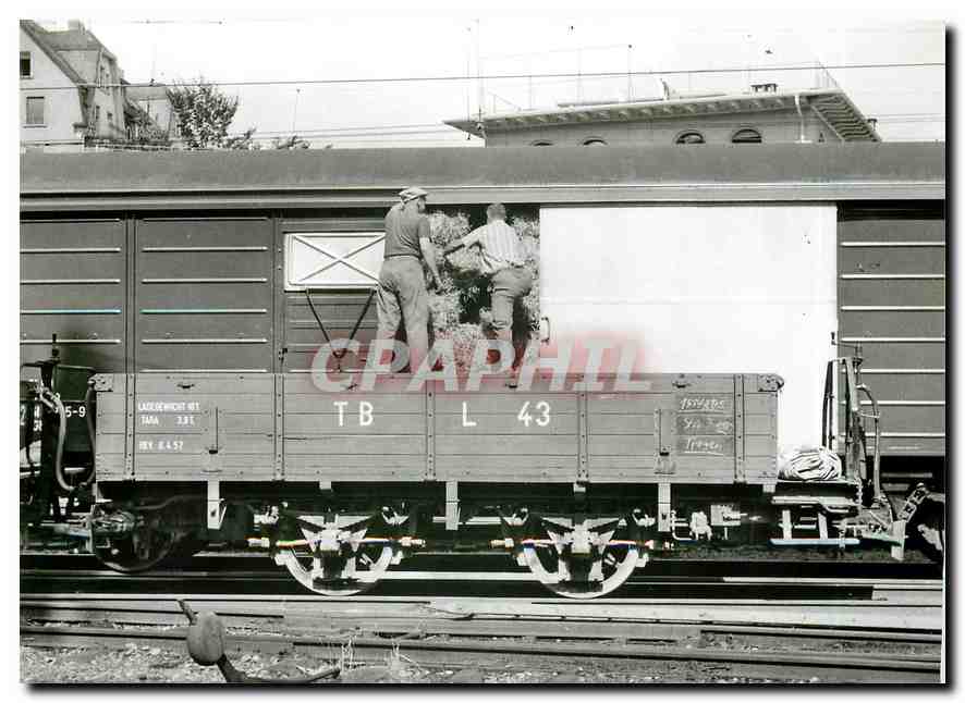CPM On transborde de la paille a St-Gall 18.8.1967