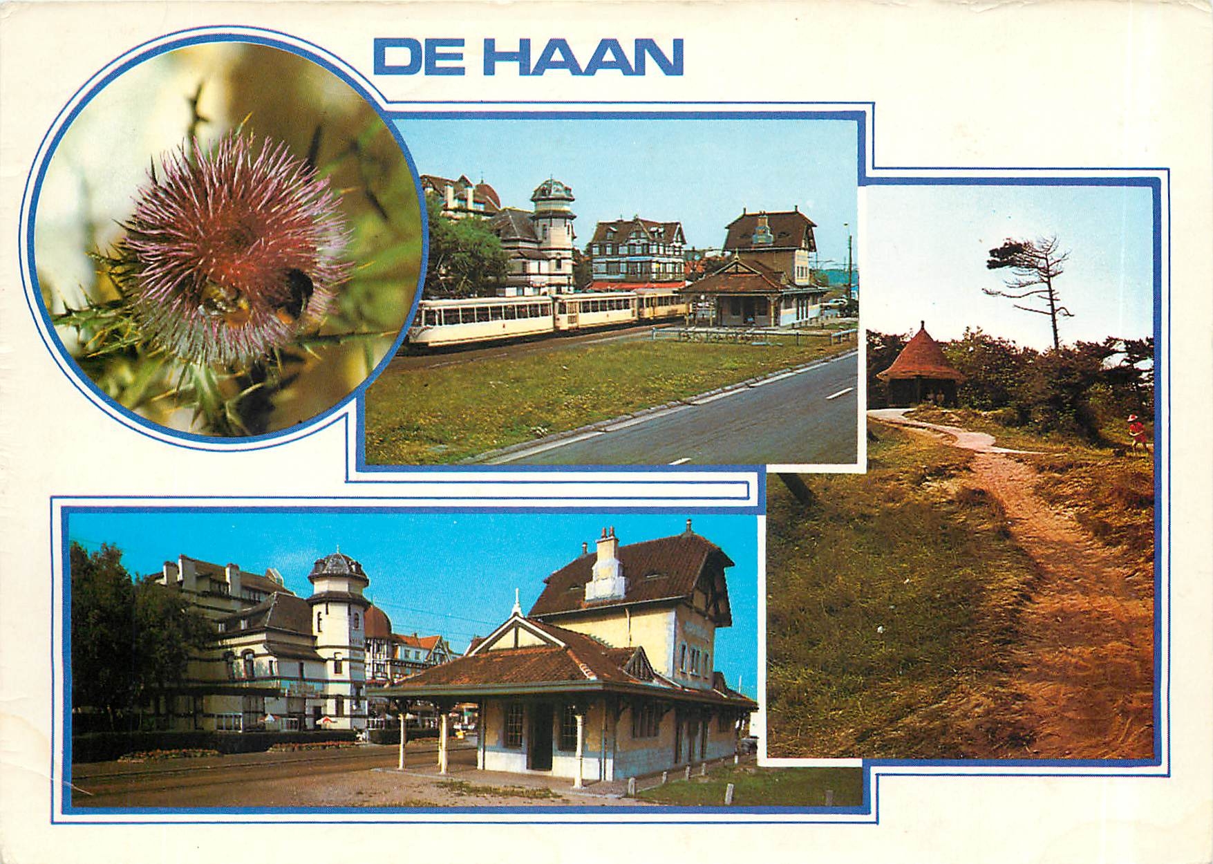 CPM Un bonjour de Haan