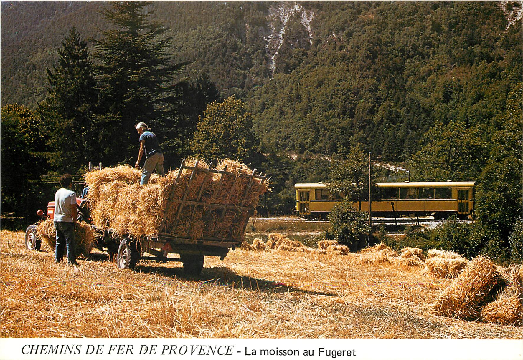 CPM CHEMINS DE FER DE PROVENCE - La moisson au Fugeret