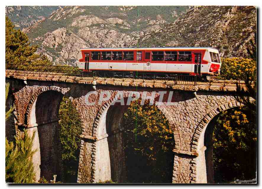 CPM CHARMES ET COULEURS DE LA CORSE