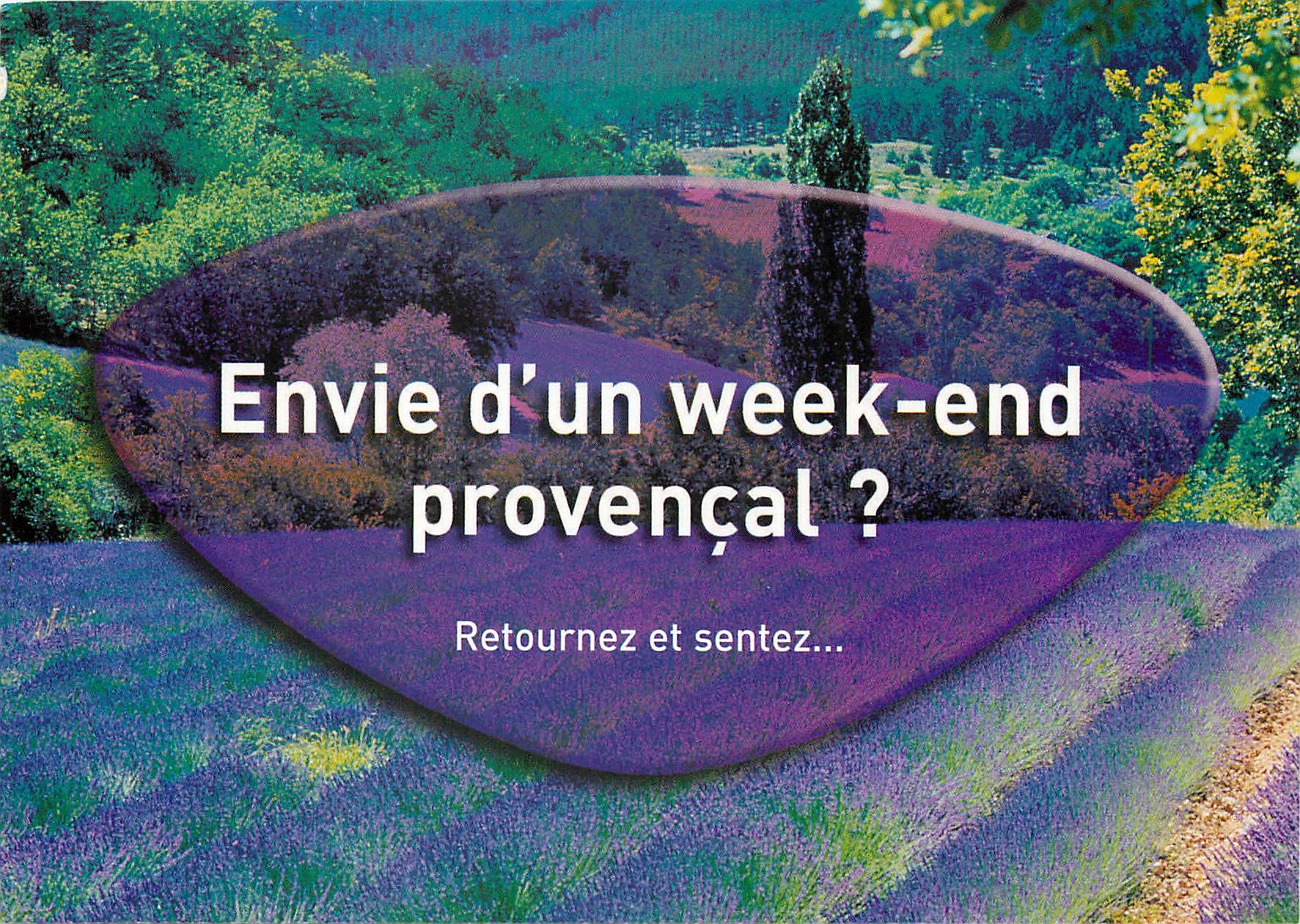 CPM Avec TGV  le vrai parfum de la Lavande