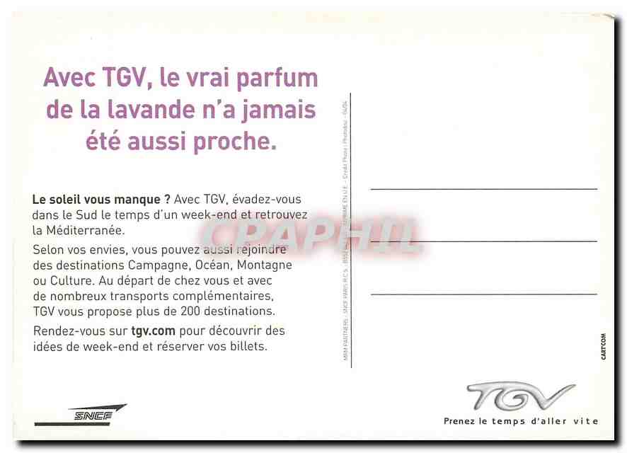 CPM Avec TGV  le vrai parfum de la Lavande — Rückseite